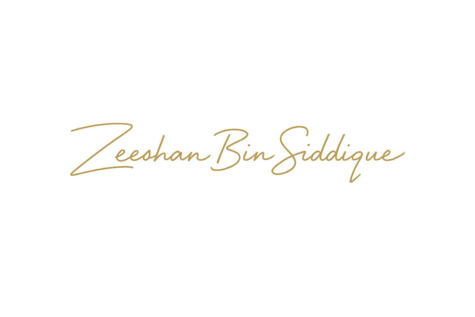 Zeeshan Bin Siddique Signature